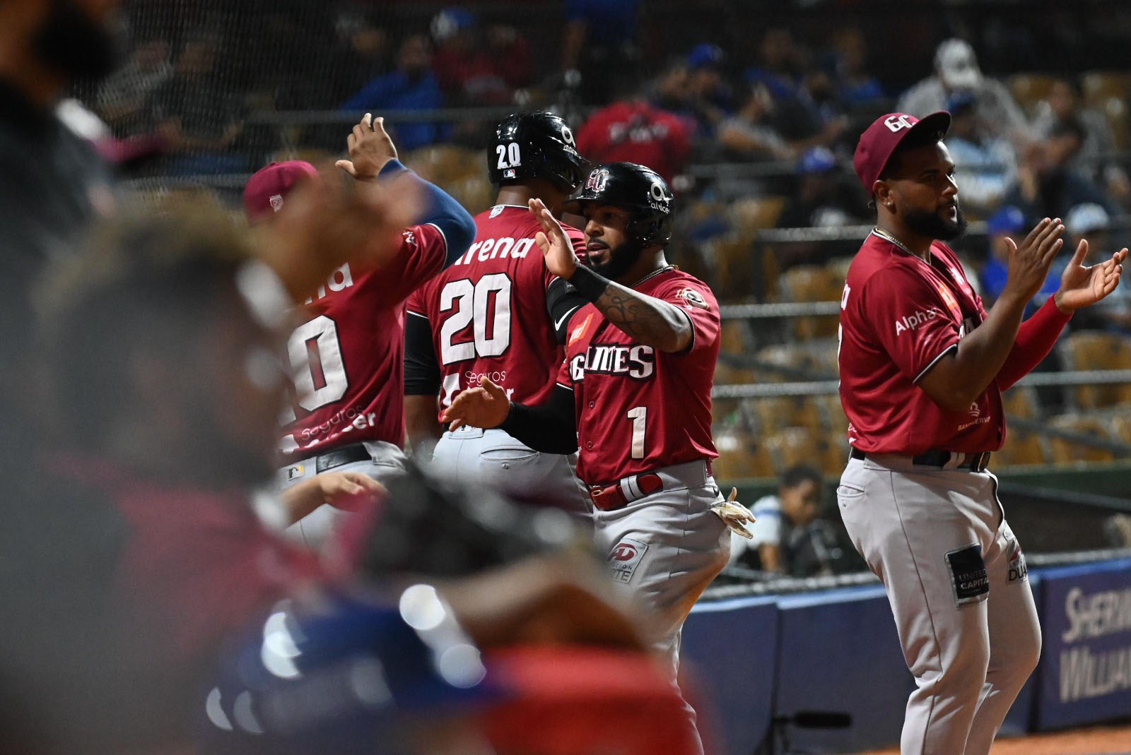 Luis García Jr. y los Gigantes del Cibao pasan por un gran momento