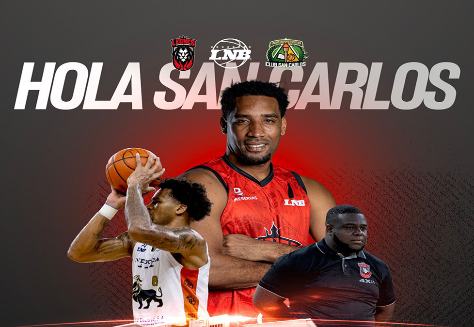 Leones de Santo Domingo