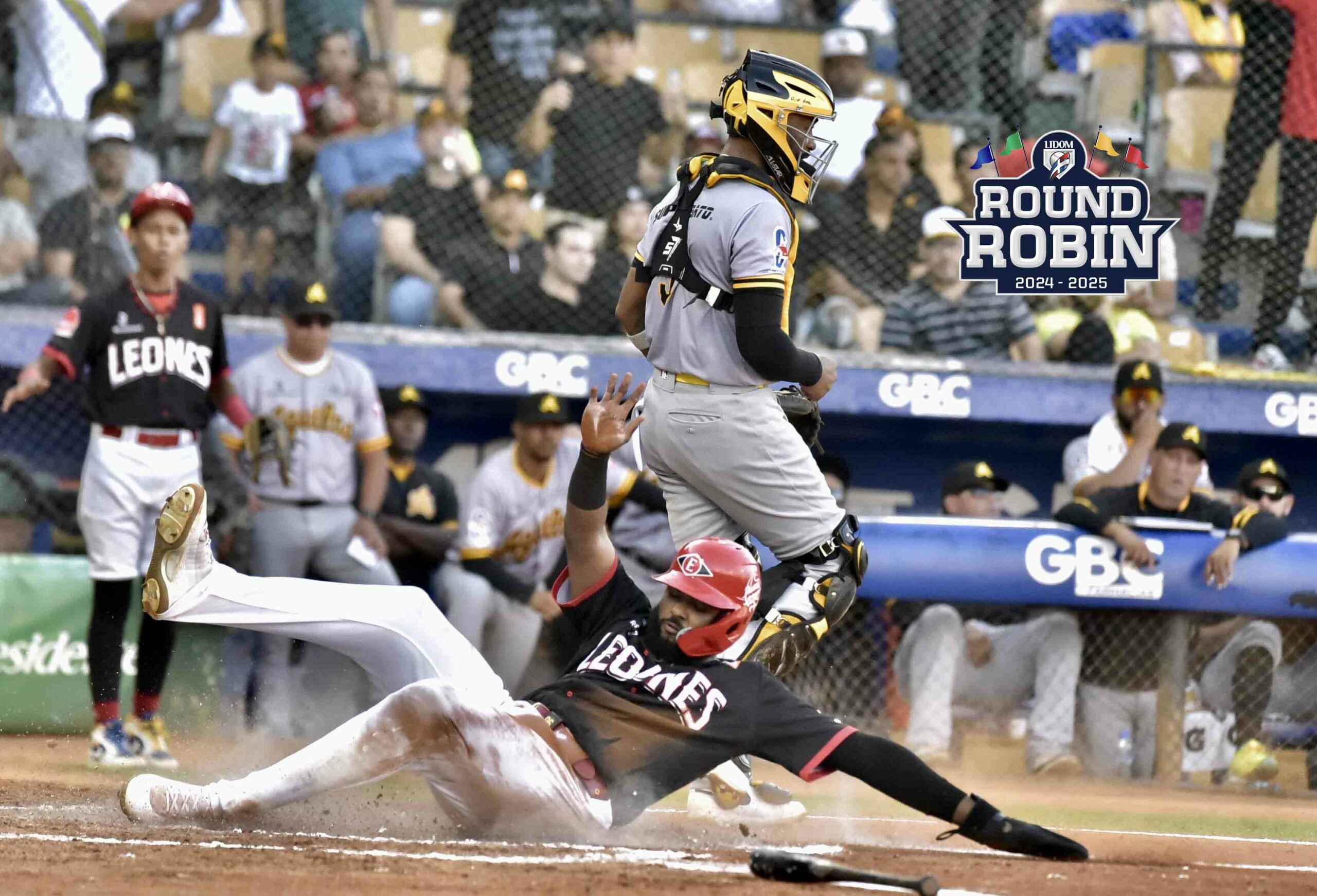 Leones blanquearon a las Águilas Cibaeñas