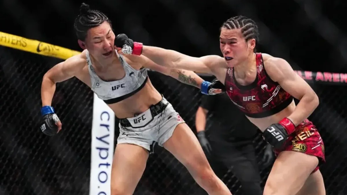 artes marciales mixtas